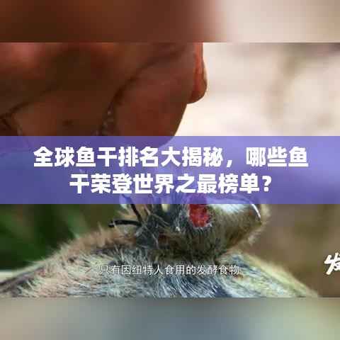 全球鱼干排名大揭秘,哪些鱼干荣登世界之最榜单?