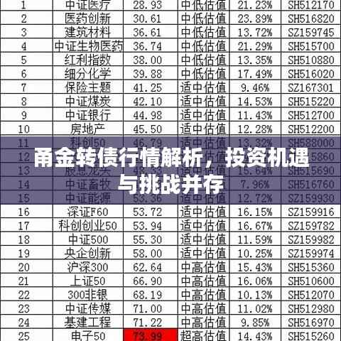 甬金转债行情解析，投资机遇与挑战并存