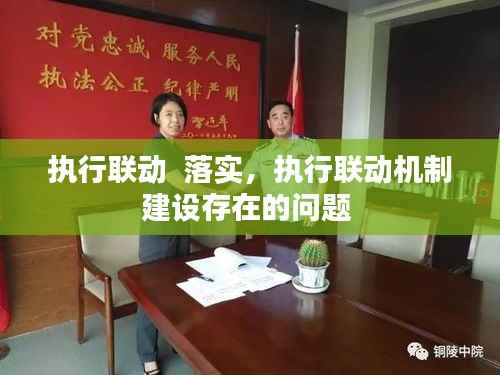 执行联动  落实，执行联动机制建设存在的问题 