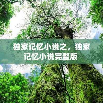 独家记忆小说之,独家记忆小说完整版