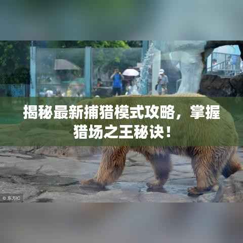 揭秘最新捕猎模式攻略,掌握猎场之王秘诀!