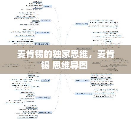 麦肯锡的独家思维,麦肯锡 思维导图