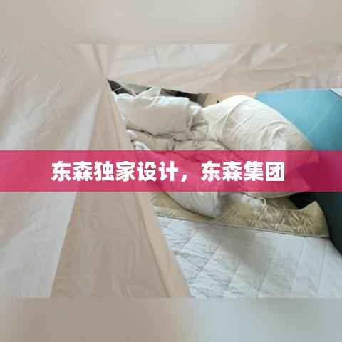 东森独家设计，东森集团 