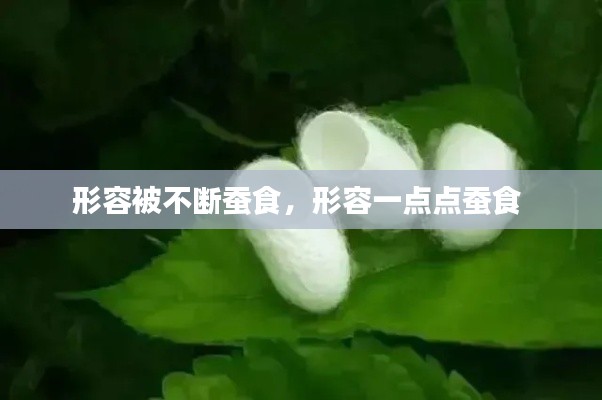 形容被不断蚕食,形容一点点蚕食