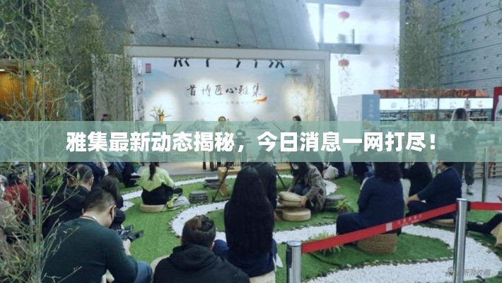 雅集最新动态揭秘，今日消息一网打尽！