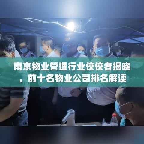 南京物业管理行业佼佼者揭晓,前十名物业公司排名解读