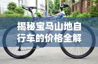 揭秘宝马山地自行车的价格全解析！