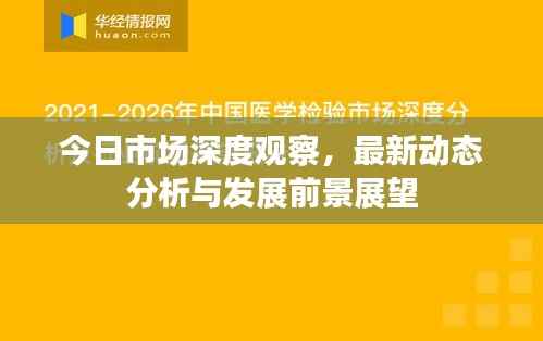 今日市场深度观察,最新动态分析与发展前景展望