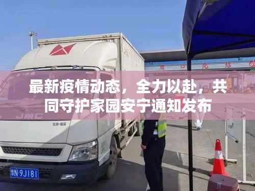 最新疫情动态,全力以赴,共同守护家园安宁通知发布