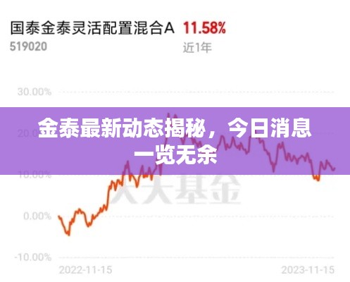 金泰最新动态揭秘,今日消息一览无余