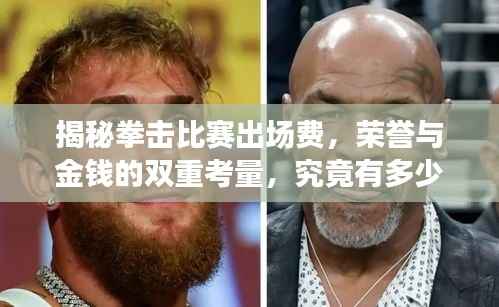 揭秘拳击比赛出场费,荣誉与金钱的双重考量,究竟有多少?