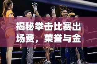揭秘拳击比赛出场费,荣誉与金钱的双重考量,究竟有多少?
